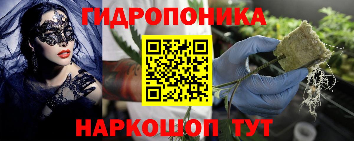 Конопля сатива Вичуга